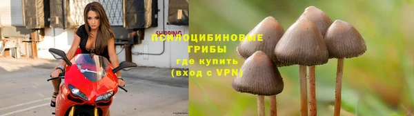 синтетический гашиш Алексин