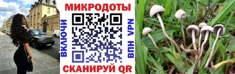 сколько стоит  Осинники  Псилоцибиновые грибы Cubensis 